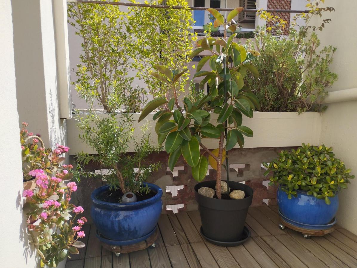 Bel Appartement Privatif Perpignan Exterior photo